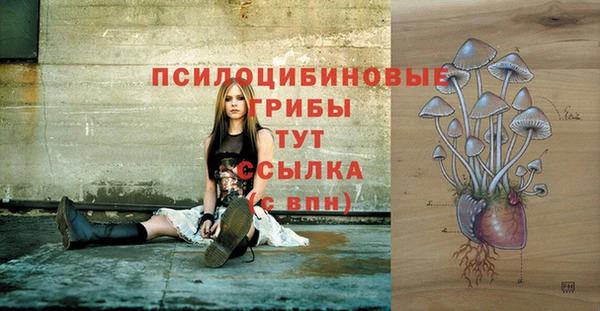 ПСИЛОЦИБИНОВЫЕ ГРИБЫ Алексеевка
