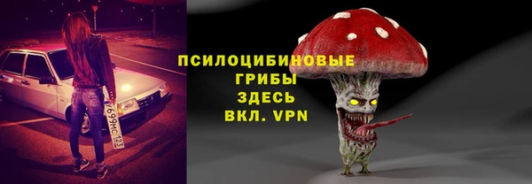 стаф Алексин