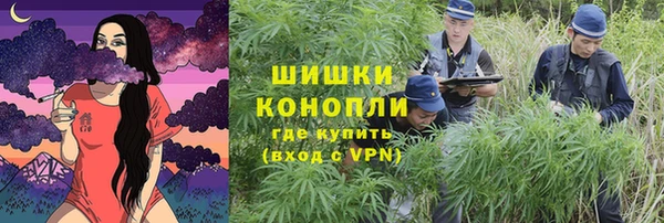 ПСИЛОЦИБИНОВЫЕ ГРИБЫ Алексеевка