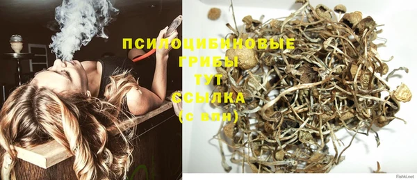 стаф Алексин