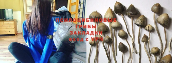 марки lsd Алзамай